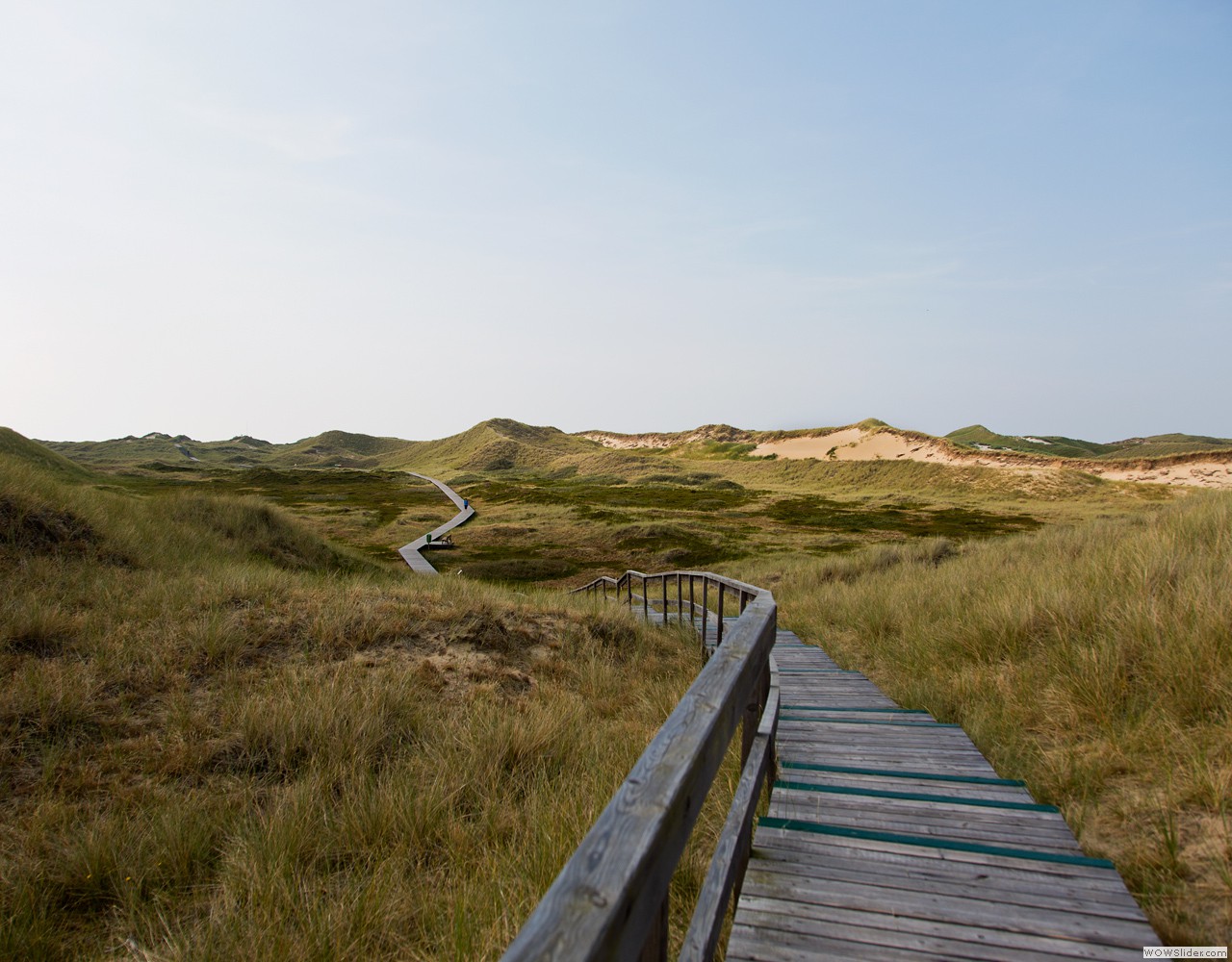 - Amrum 2012 -