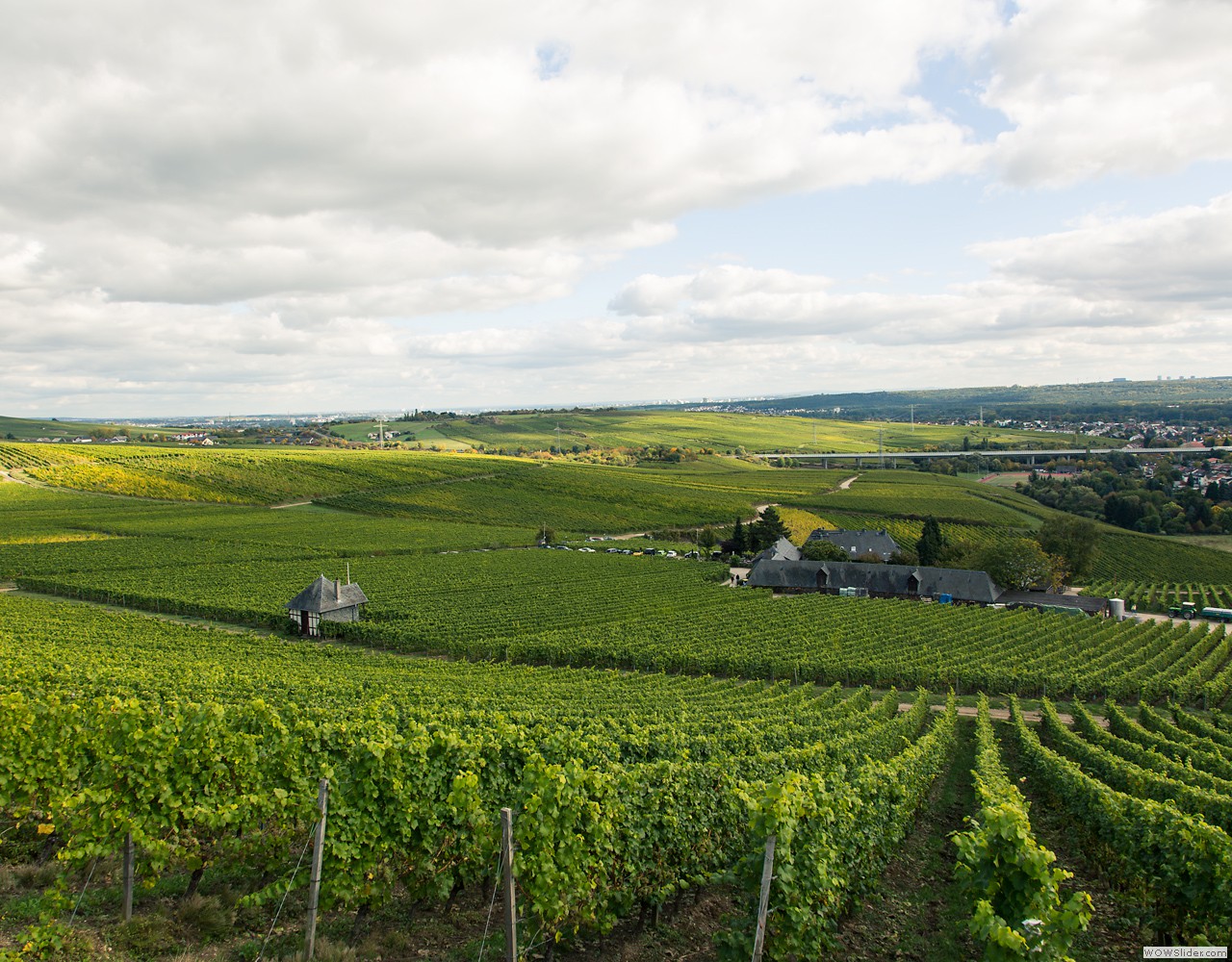 - Rheingau 2012 -